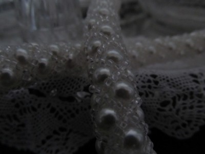 IMG_1857 – kopie.JPG